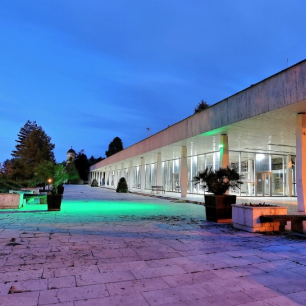 Rok 2019 - Pozitívny extrém  - 3