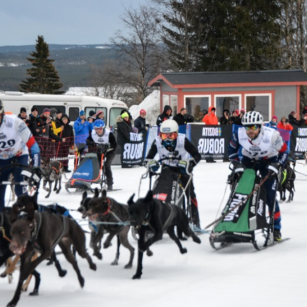 Češi na ME v mushingu ve Švédsku získali cenné kovy - 5