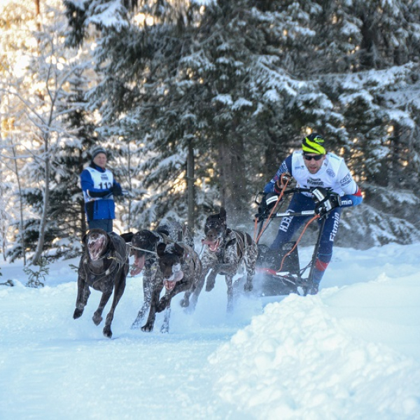 Češi na ME v mushingu ve Švédsku získali cenné kovy - 6