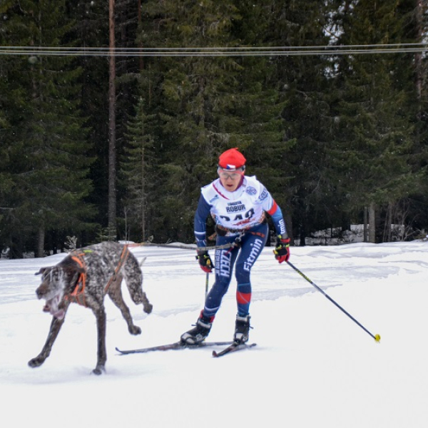 Češi na ME v mushingu ve Švédsku získali cenné kovy - 2