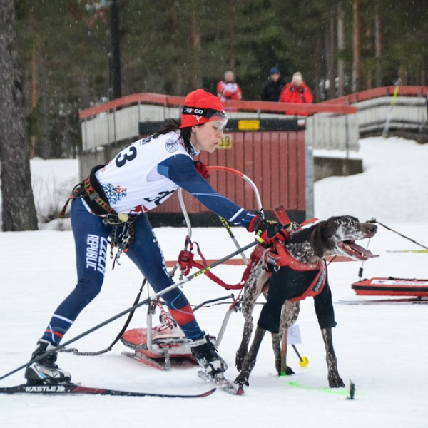 Češi na ME v mushingu ve Švédsku získali cenné kovy - 4