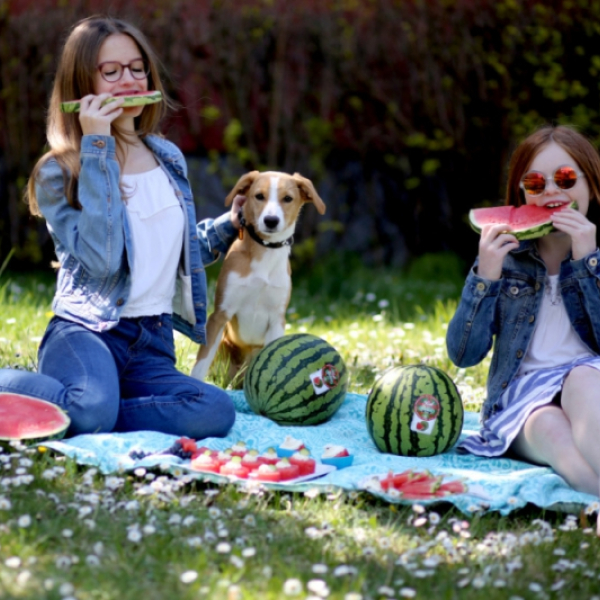 Oživte piknik nebo zahradní slavnost snadnými recepty z bezpeckových melounů Bouquet  - 6