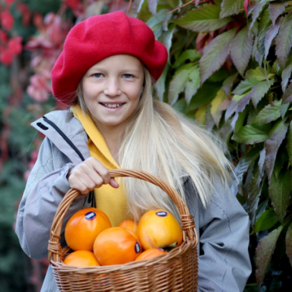 Kaki Persimon Bouquet – Nejsladší cesta k vitamínům - 3