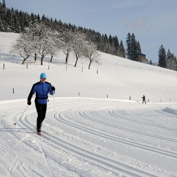 Běžky jsou bezpečný a levný sport