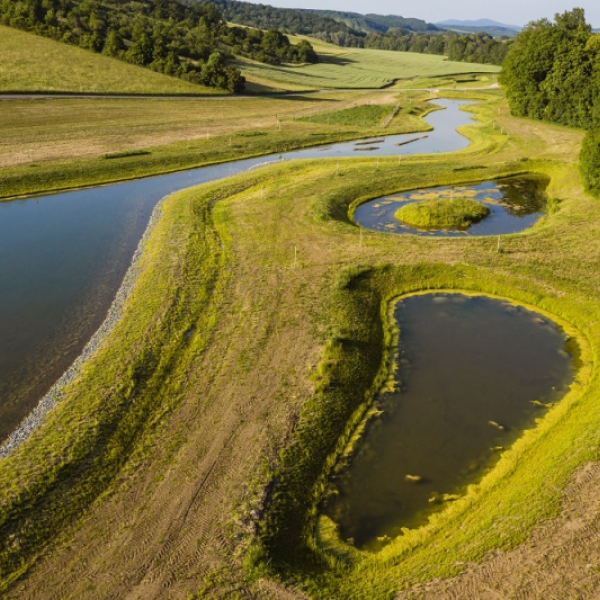 Revitalizační opatření Drslavice