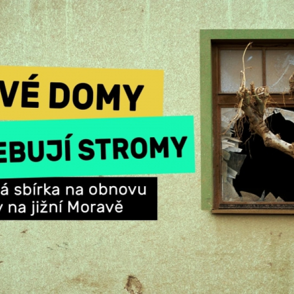 Obnovíme stromy zničené tornádem, - 2