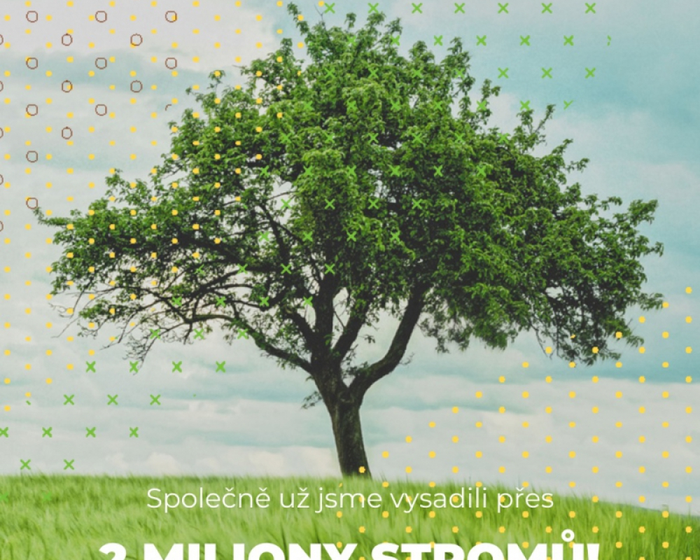 Češi vysázeli za 3 roky 2 miliony stromů