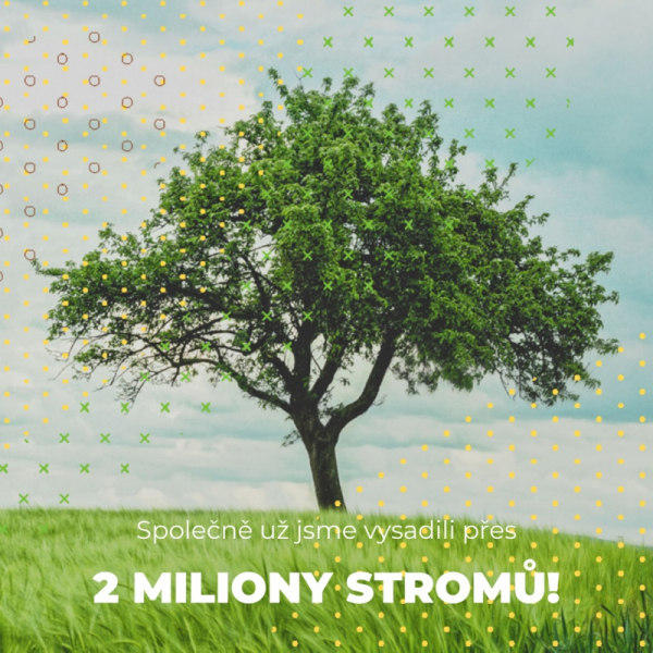 Češi vysázeli za 3 roky 2 miliony stromů