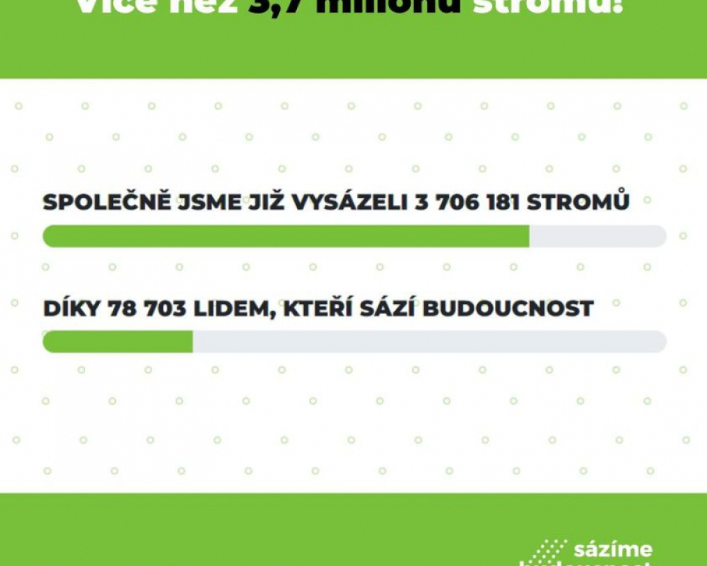 Přes 1,7 milionu stromů přibylo za poslední rok