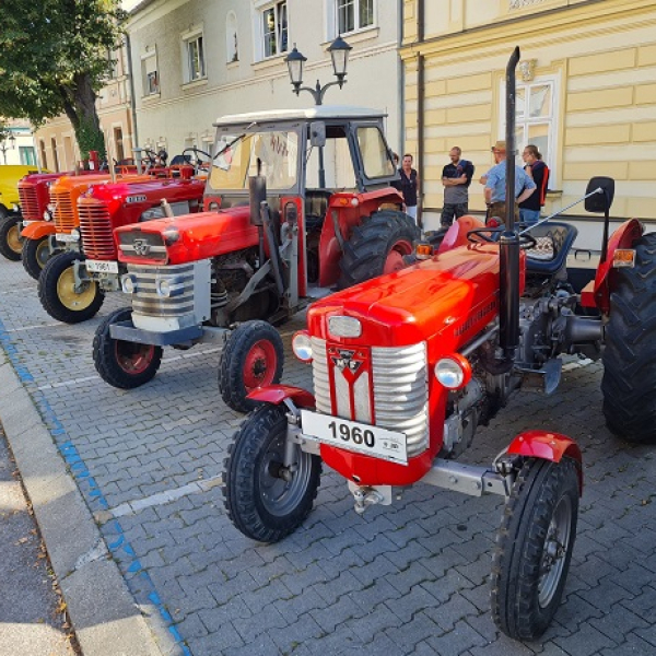 Cibulové slavnosti v lázeňském městečku Laa an der Thaya: Tradiční oslava cibule plná zábavy! - 3