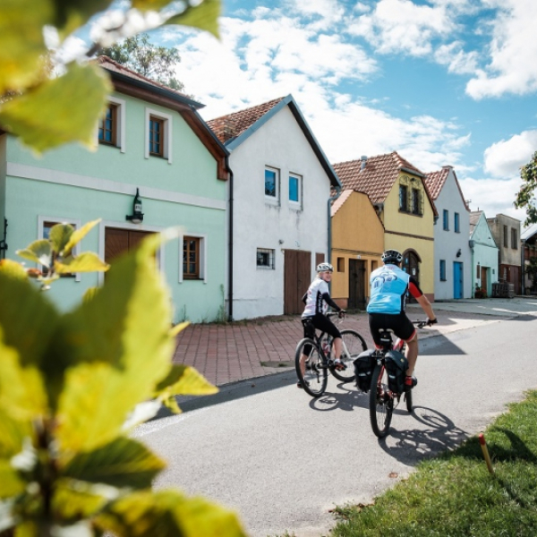 Tour de burčák po vinařských stezkách Znojemska - 4