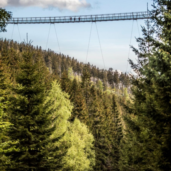 Světový rekord stále drží český most Sky Bridge 721 - 10