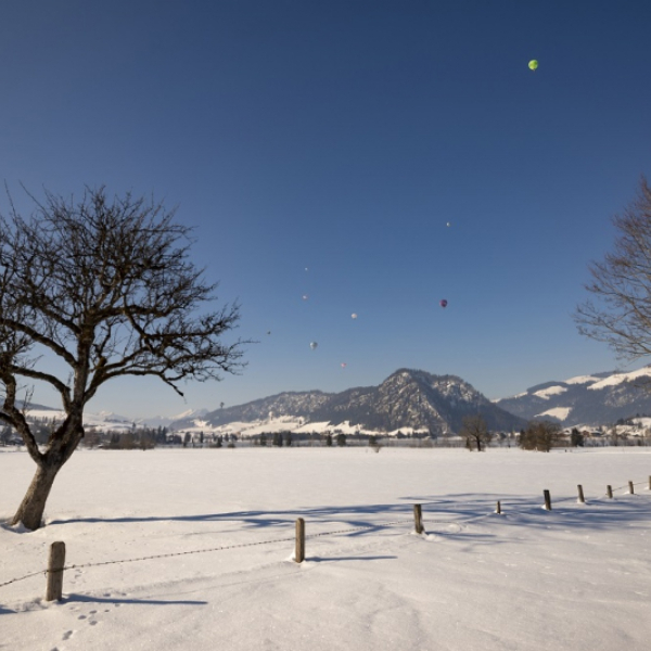 22. Festival Kaiserwinkl Alpin Ballooning - 3