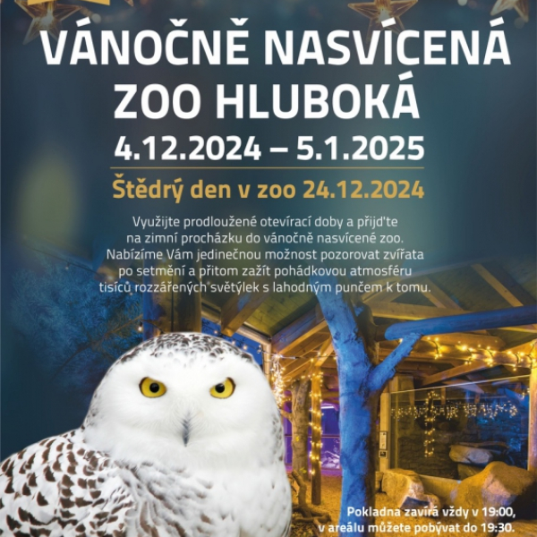 Vánočně nasvícená Zoo Hluboká - 3