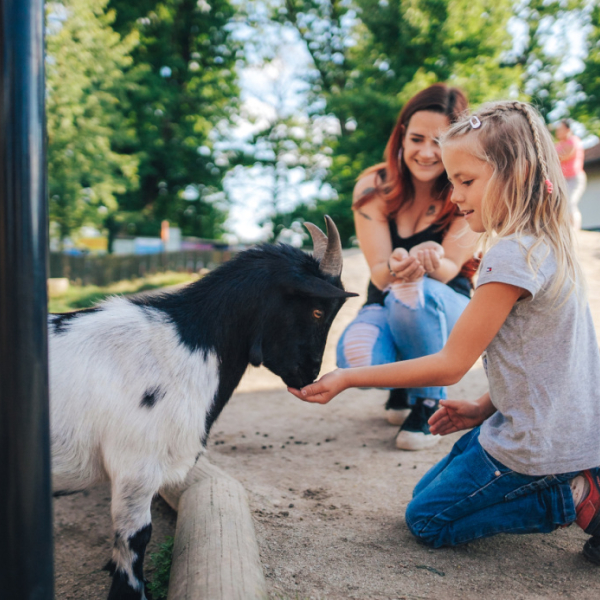 Zoo_Hluboká nad Vltavou_Budějovicko