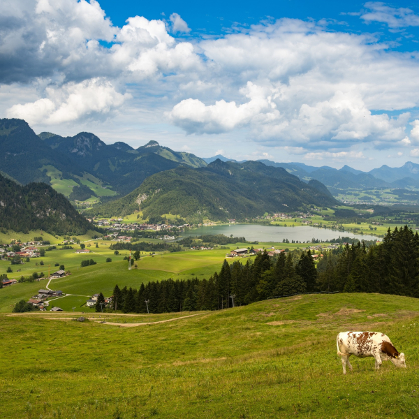 Kaiserwinkl_Sommer (4)
