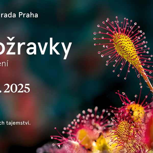 DIGI_CLV_skoduv_1920x1080