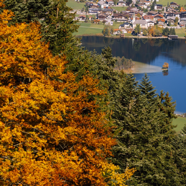Kaiserwinkl_Herbst (2)