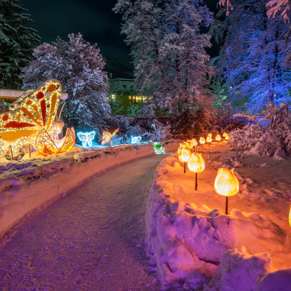 Copyright Innsbruck Tourismus Danijel Jovanovic