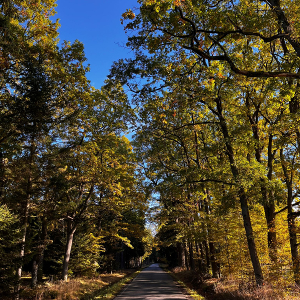 WhatsApp Image 2023-10-26 at 10.27.54 (6)