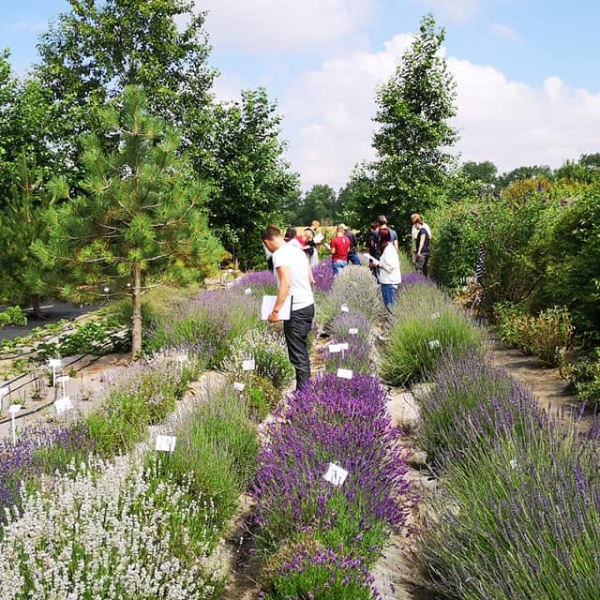 MAGIE BYLIN – Herbal workshop s destilací