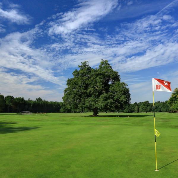 panstvi_bechyne_golf_bechyne_hriste (2)