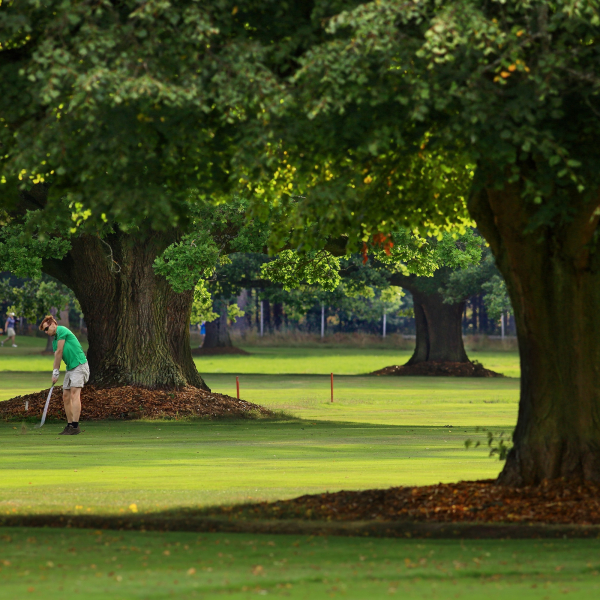 panstvi_bechyne_golf_bechyne_hriste