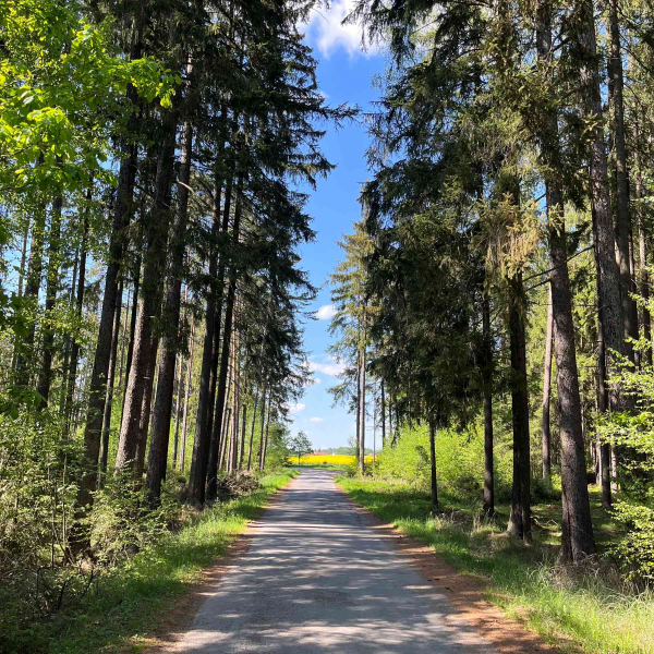 Černická obora_foto vlastní Panství Bechyně
